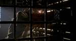 Photo Number 14